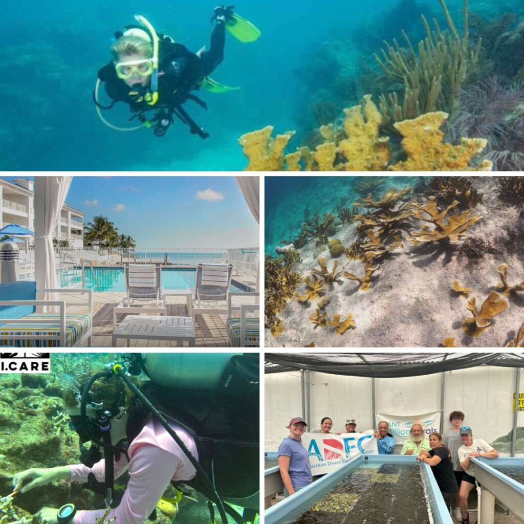 Key Largo, Islamorada, Summerland Key ADFC Coral Restoration Trip - July 2025